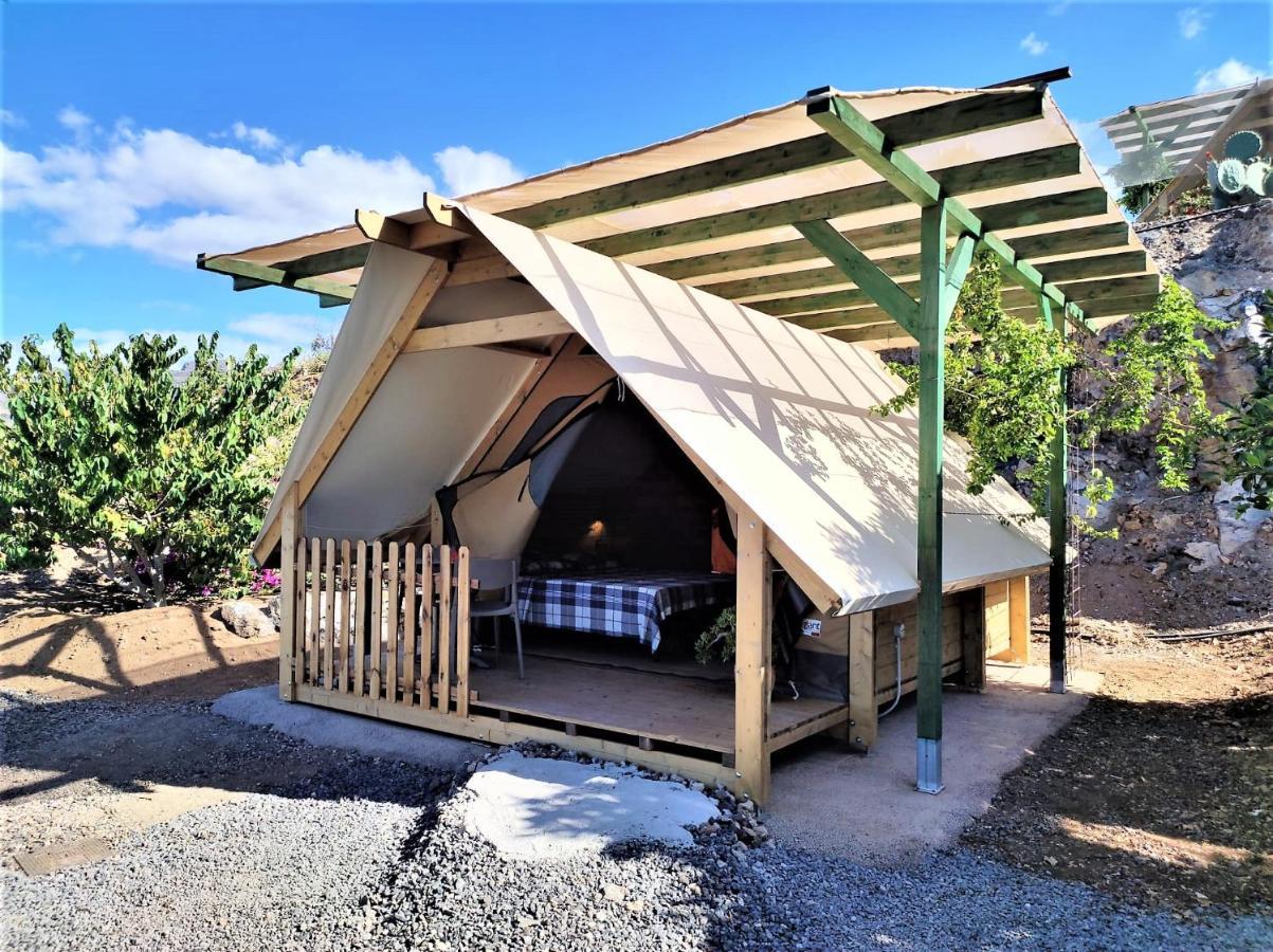 Finca Gaia La Segunda Guía de Isora Εξωτερικό φωτογραφία