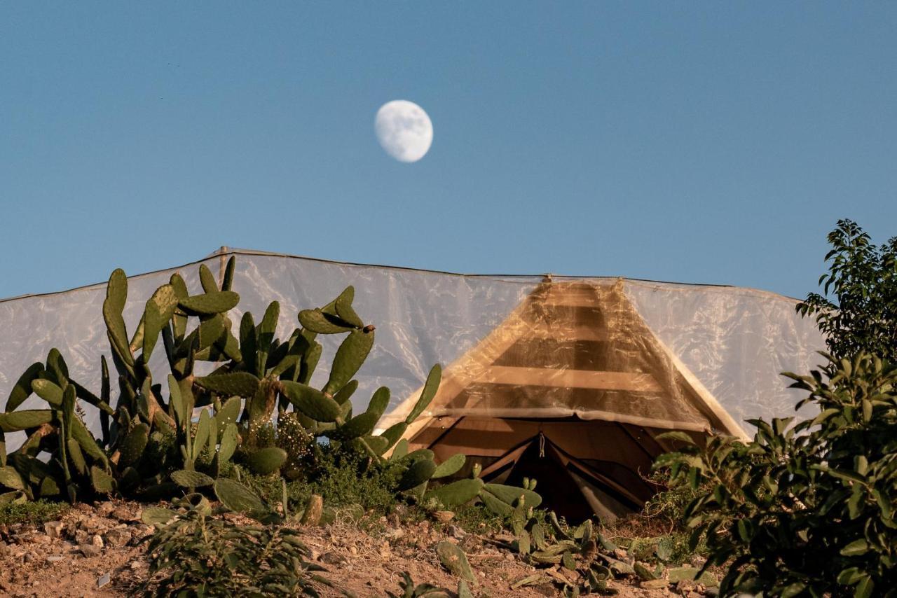 Finca Gaia La Segunda Guía de Isora Εξωτερικό φωτογραφία