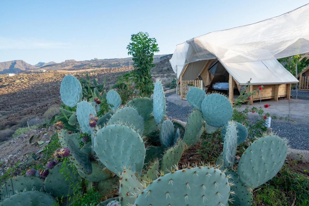 Finca Gaia La Segunda Guía de Isora Εξωτερικό φωτογραφία