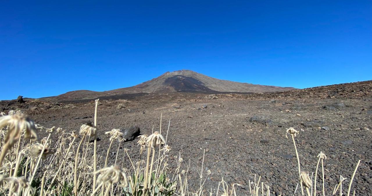 Finca Gaia La Segunda Guía de Isora Εξωτερικό φωτογραφία