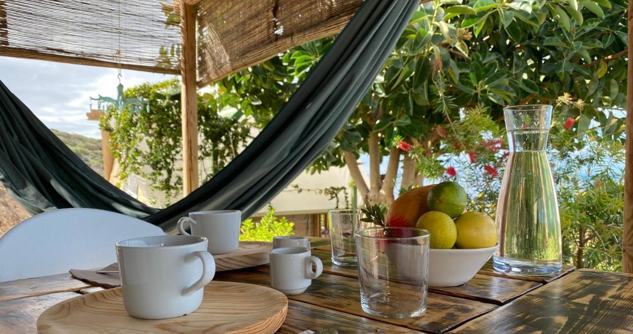 Finca Gaia La Segunda Guía de Isora Εξωτερικό φωτογραφία