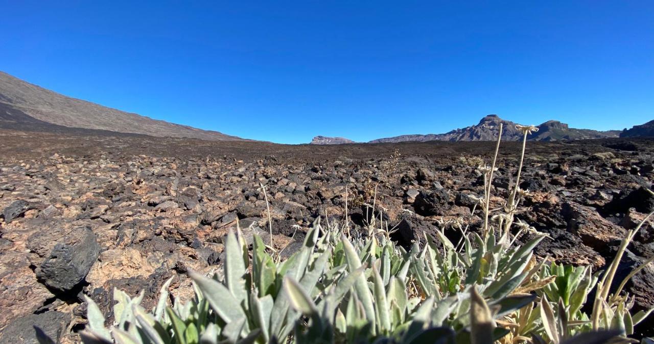 Finca Gaia La Segunda Guía de Isora Εξωτερικό φωτογραφία