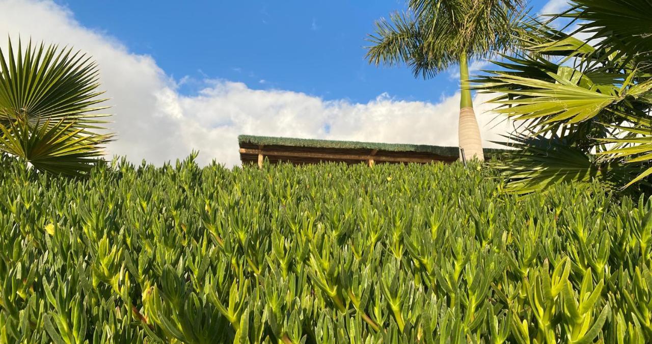 Finca Gaia La Segunda Guía de Isora Εξωτερικό φωτογραφία