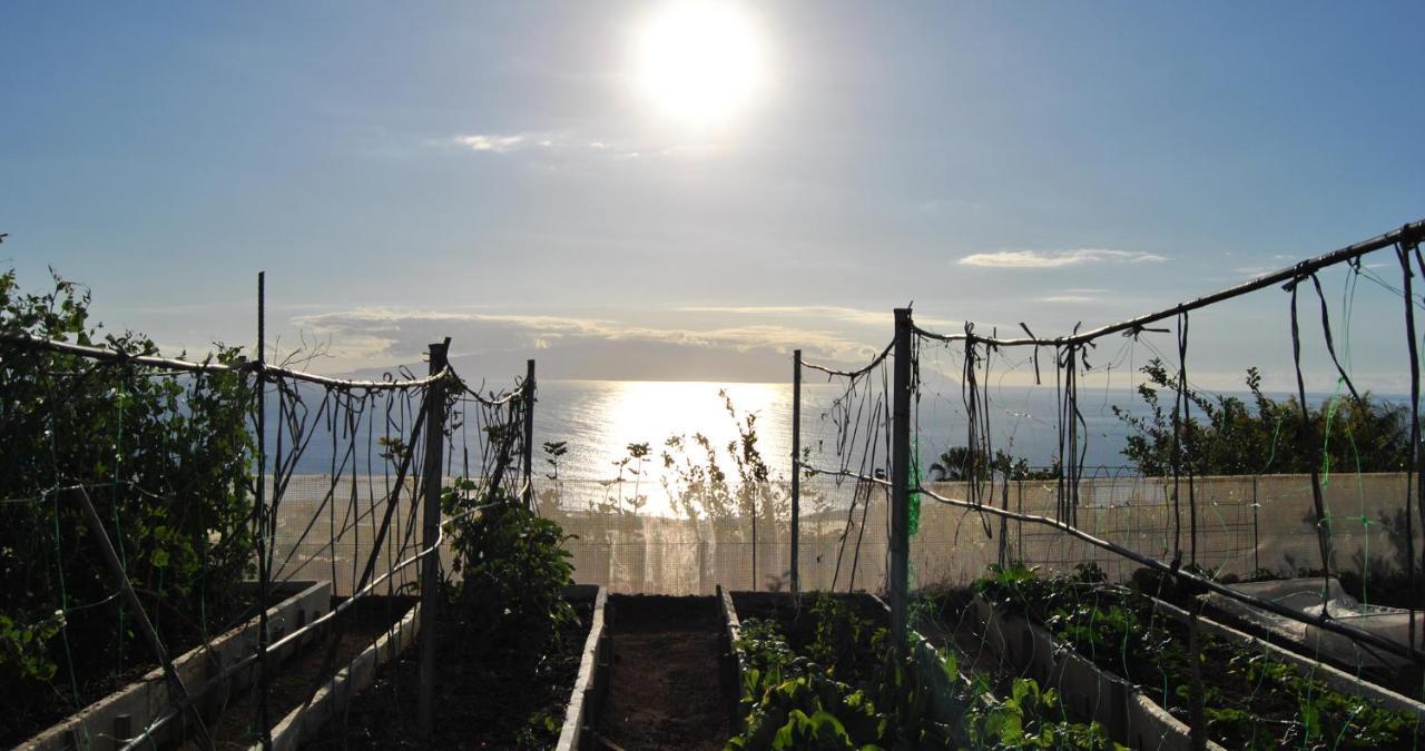 Finca Gaia La Segunda Guía de Isora Εξωτερικό φωτογραφία