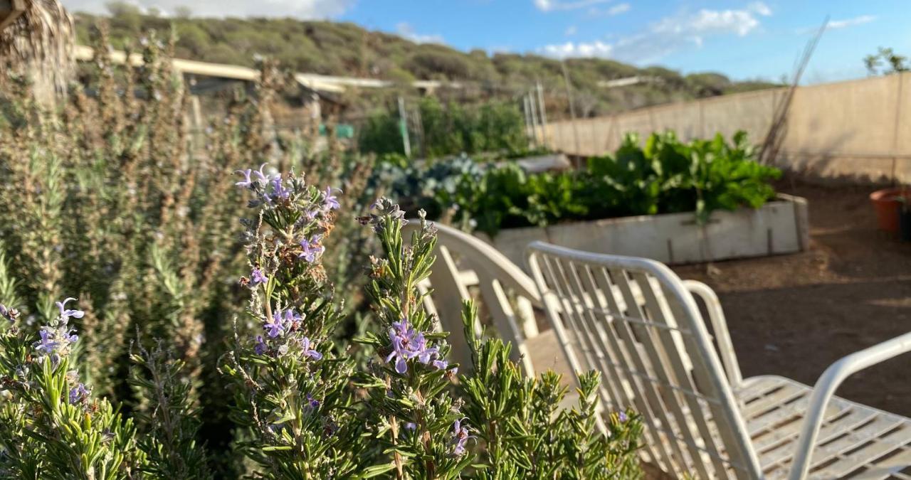Finca Gaia La Segunda Guía de Isora Εξωτερικό φωτογραφία