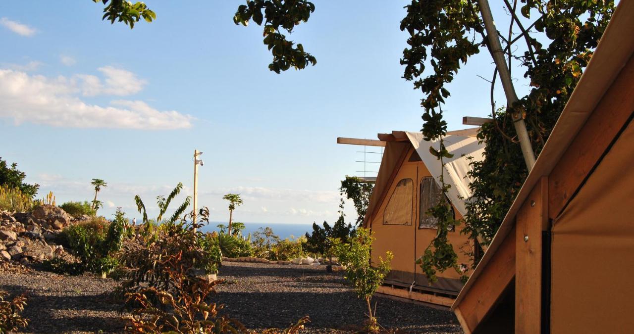 Finca Gaia La Segunda Guía de Isora Εξωτερικό φωτογραφία