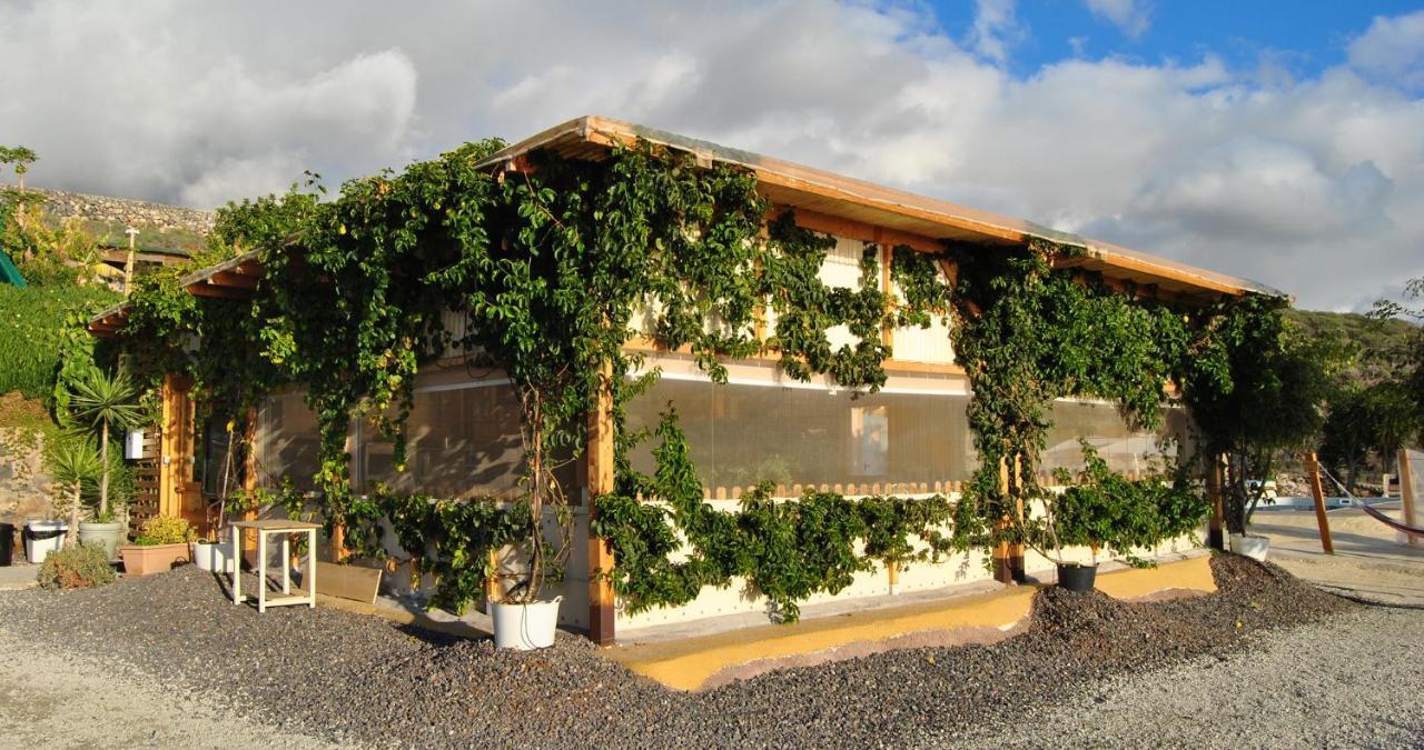 Finca Gaia La Segunda Guía de Isora Εξωτερικό φωτογραφία