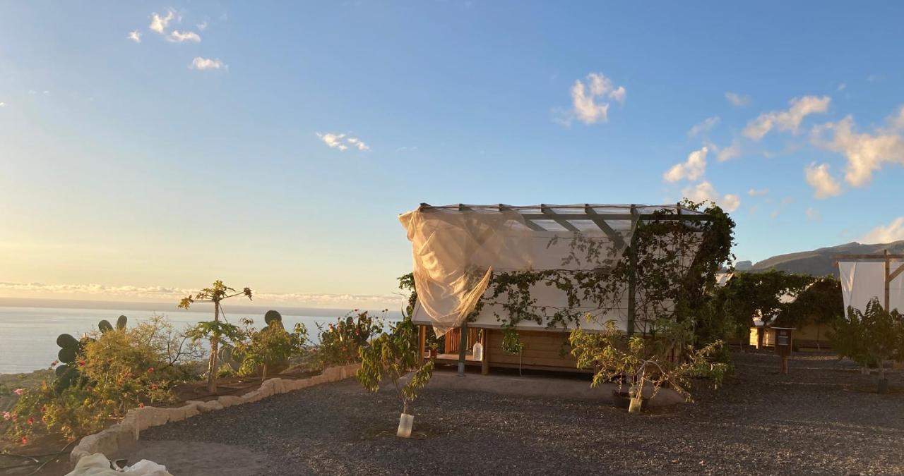 Finca Gaia La Segunda Guía de Isora Εξωτερικό φωτογραφία