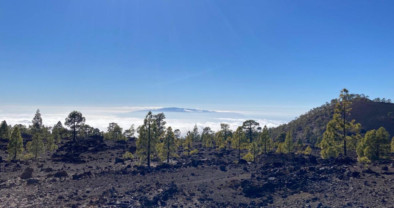 Finca Gaia La Segunda Guía de Isora Εξωτερικό φωτογραφία
